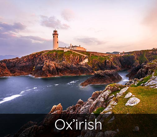 Bannière e-pub projet professionnel Ox'irish